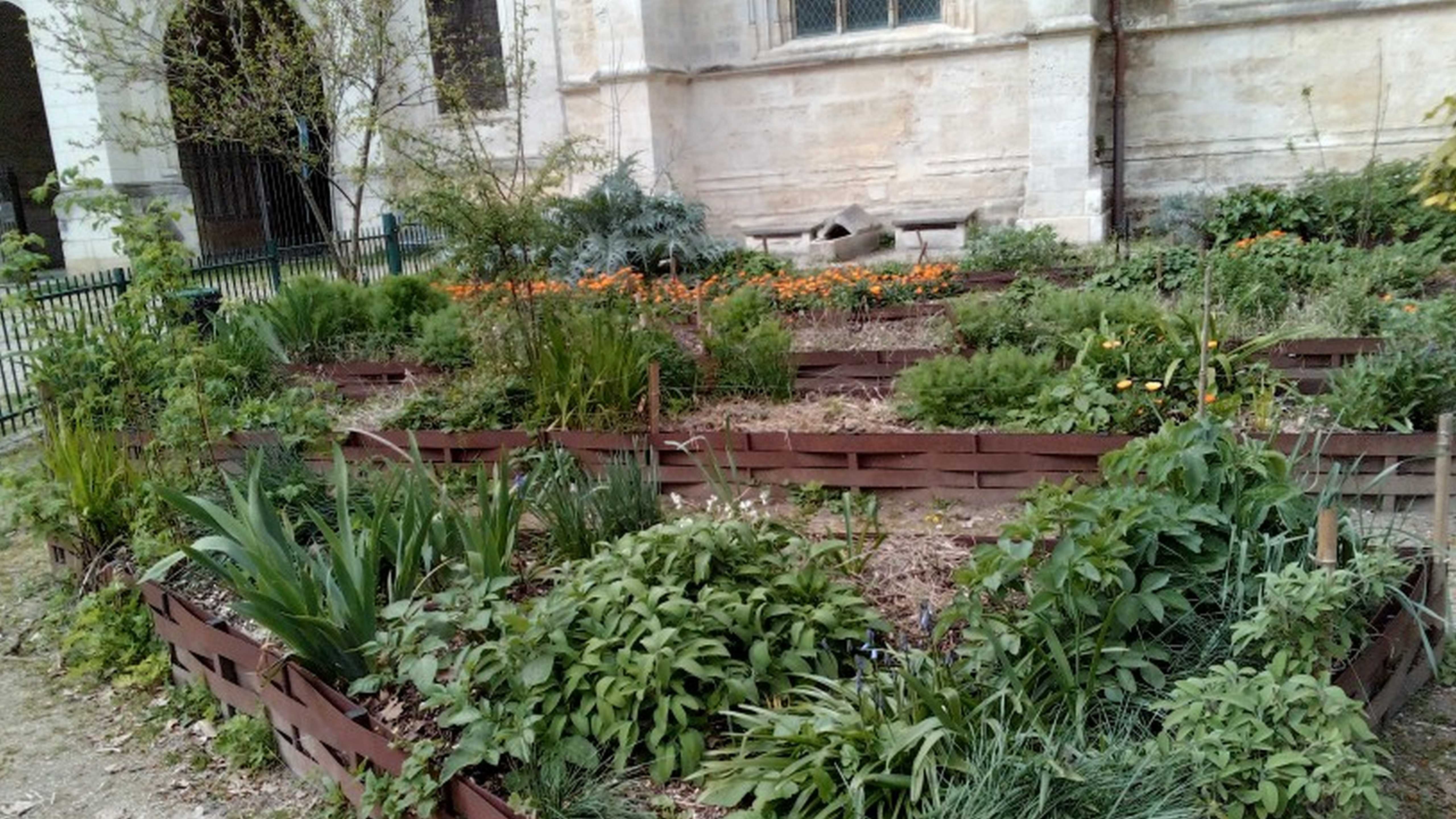 Bordeaux et aux environs : Le festival "48 h de l’Agriculture Urbaine" fête sa 10ème édition