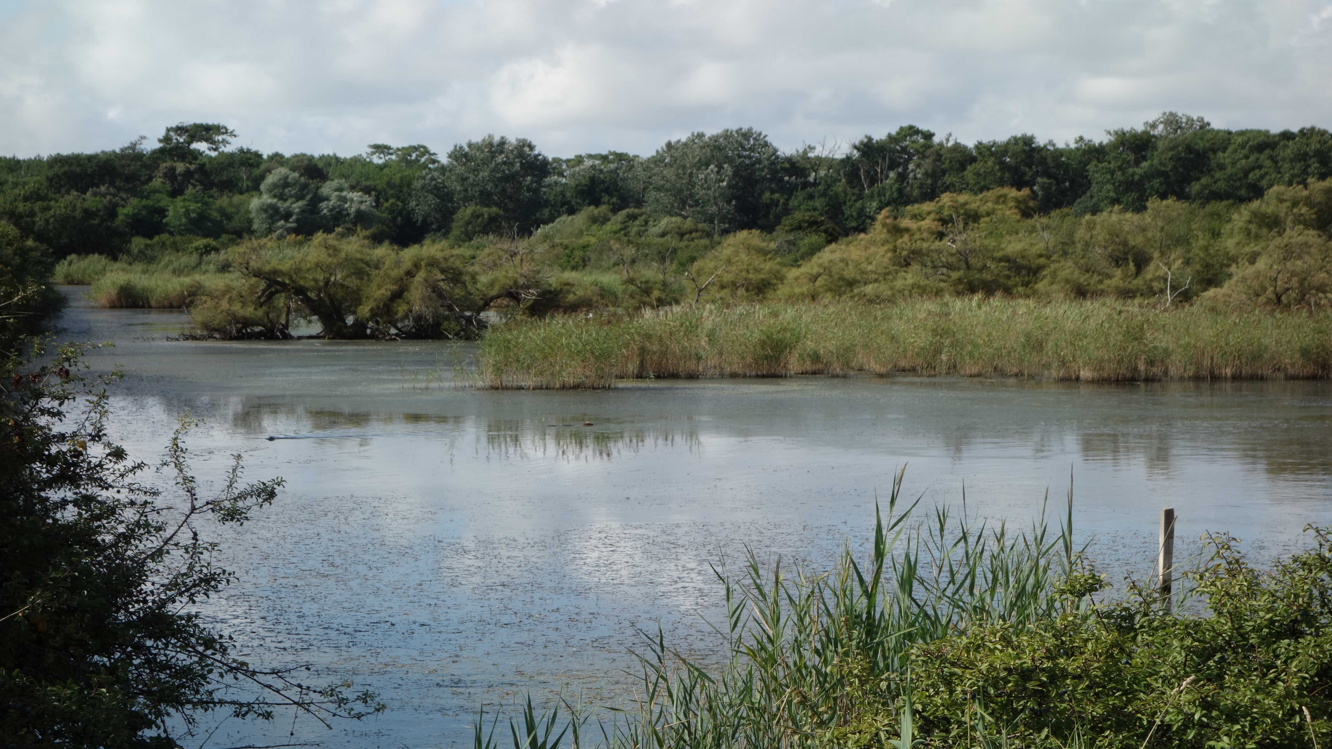 Opéra Pagaï vous embarque sur la piste des Grenomes pour observer la Pointe du Médoc autrement