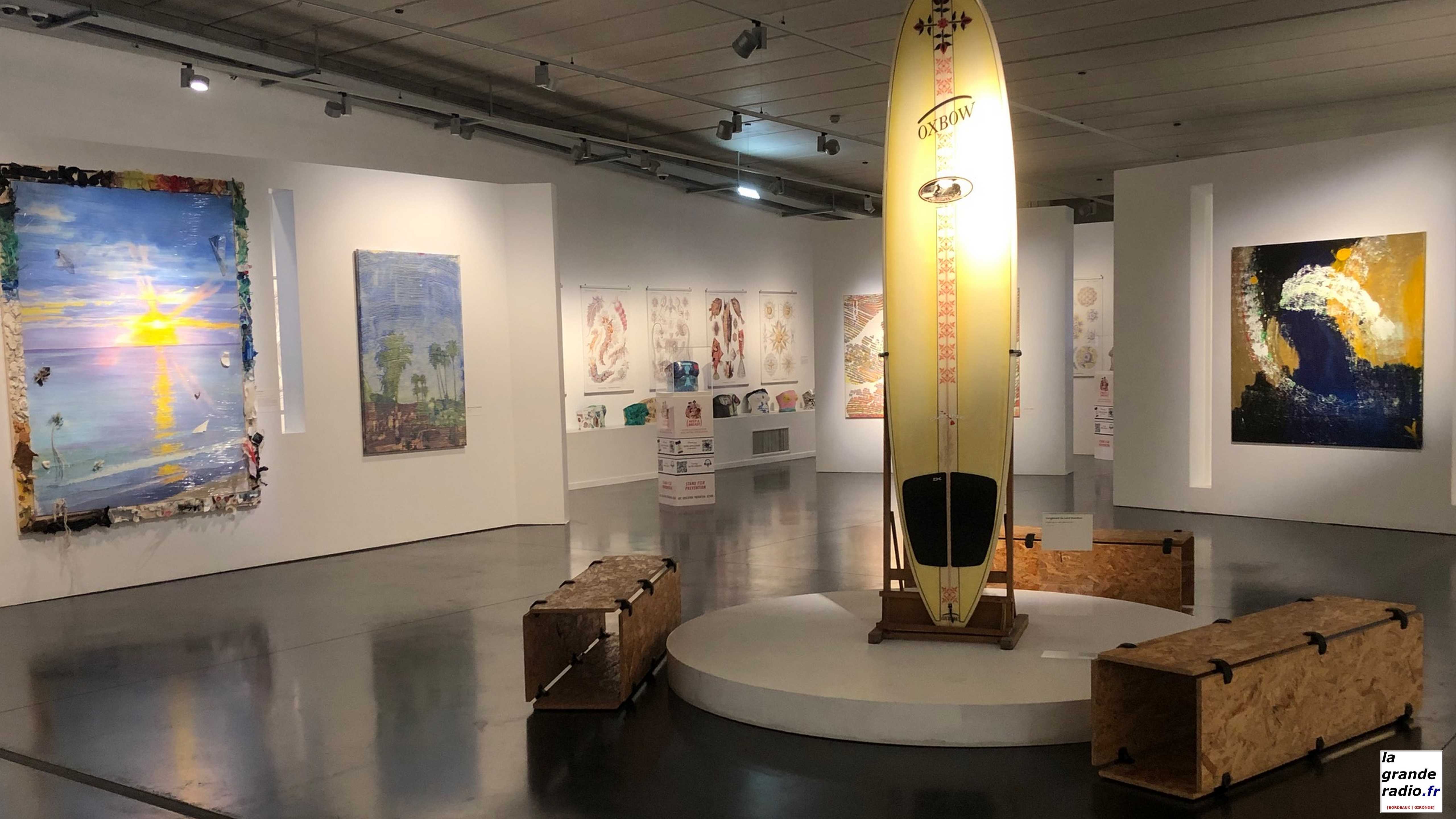 Le Musée Mer Marine présente son exposition temporaire "Sauvons les Sirènes"