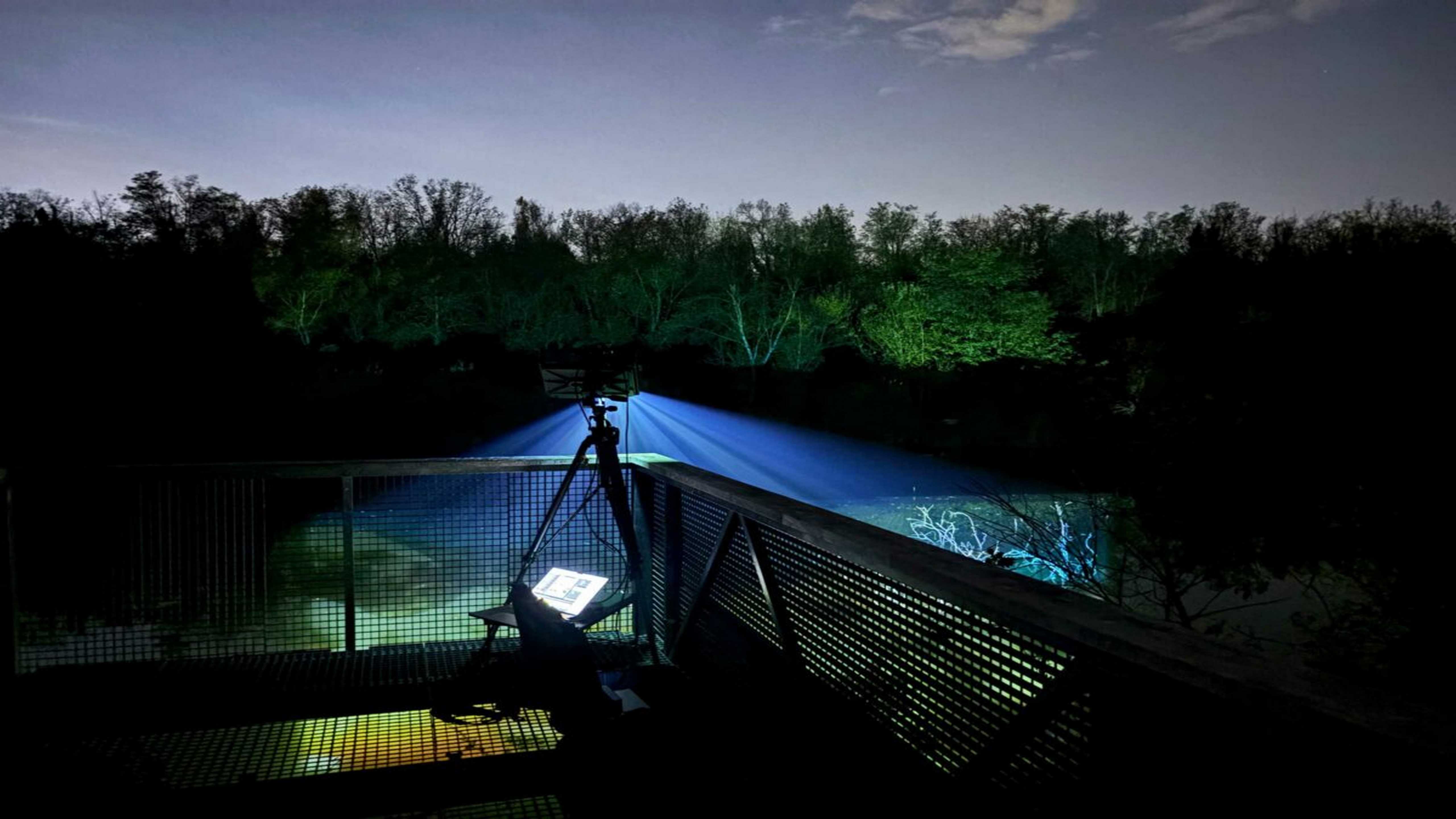 Lormont : "La nuit verte de Panoramas", une exposition à ciel ouvert