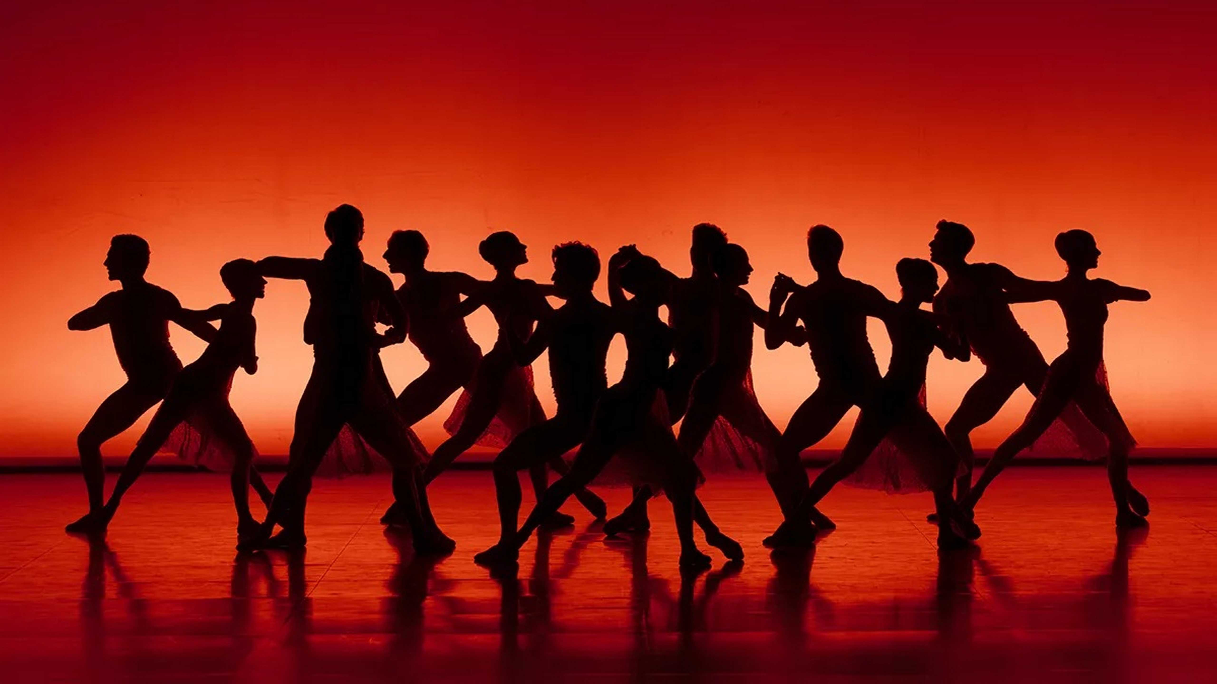 Danse contemporaine : "Wake up !" avec le Ballet de l’Opéra National de Bordeaux