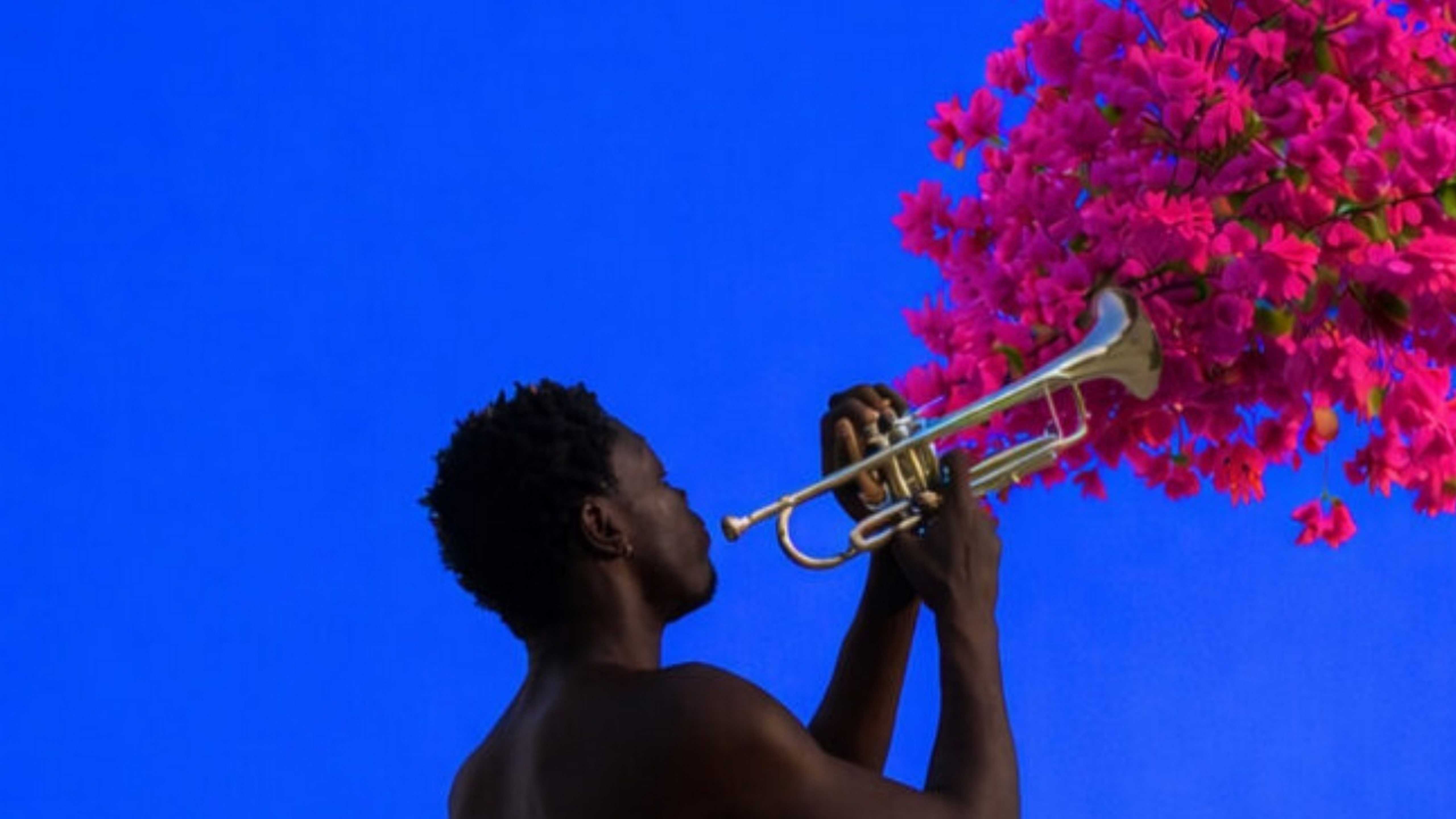 Découvrez la programmation en Gironde de la Saison de l'Institut des Afriques