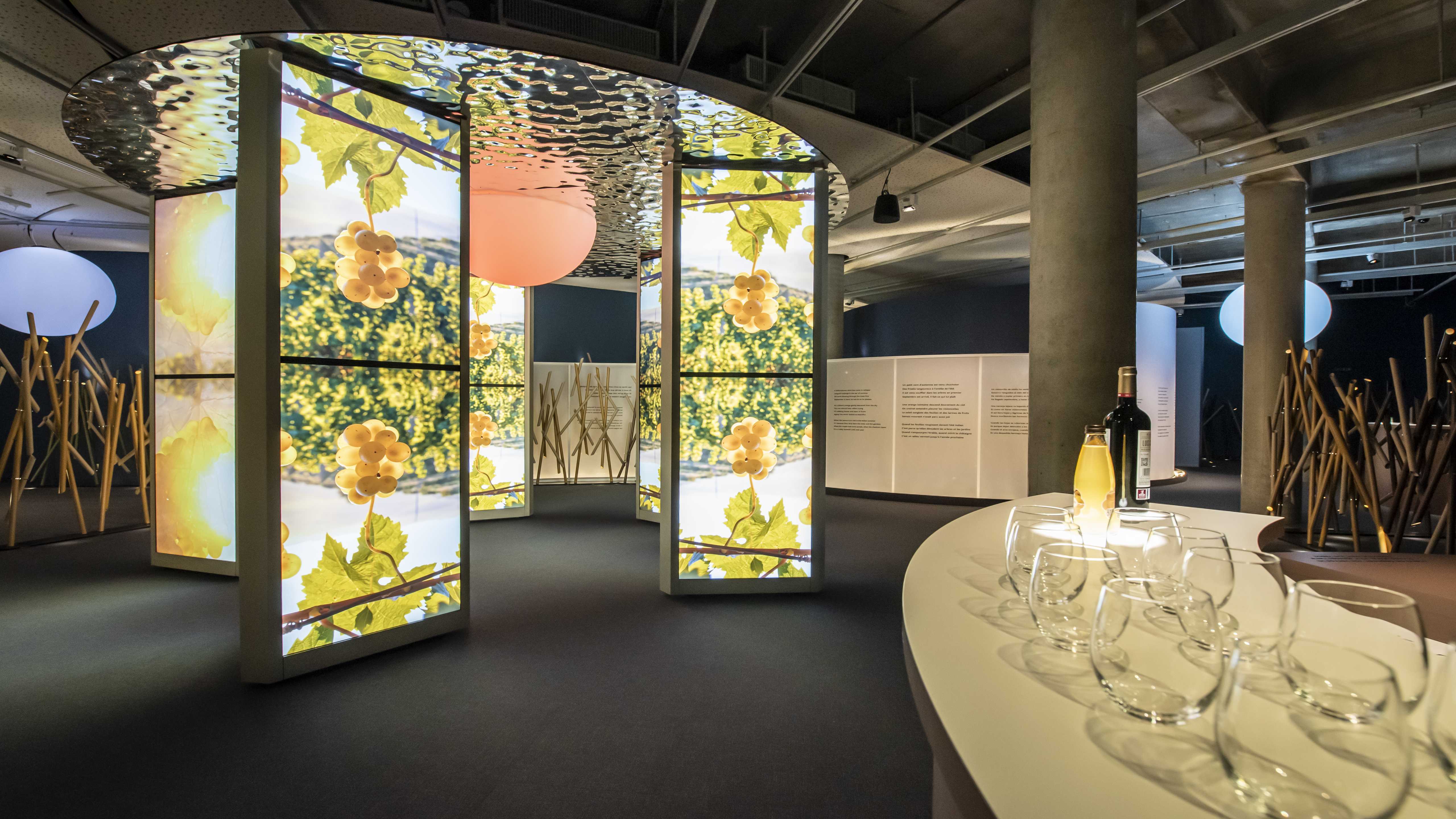 Bordeaux : "Via Sensoria", le parcours sensoriel de dégustation à la Cité du Vin